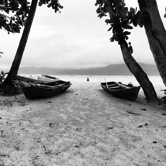 Meet your Posher, Elisa - Picture 1 of 1